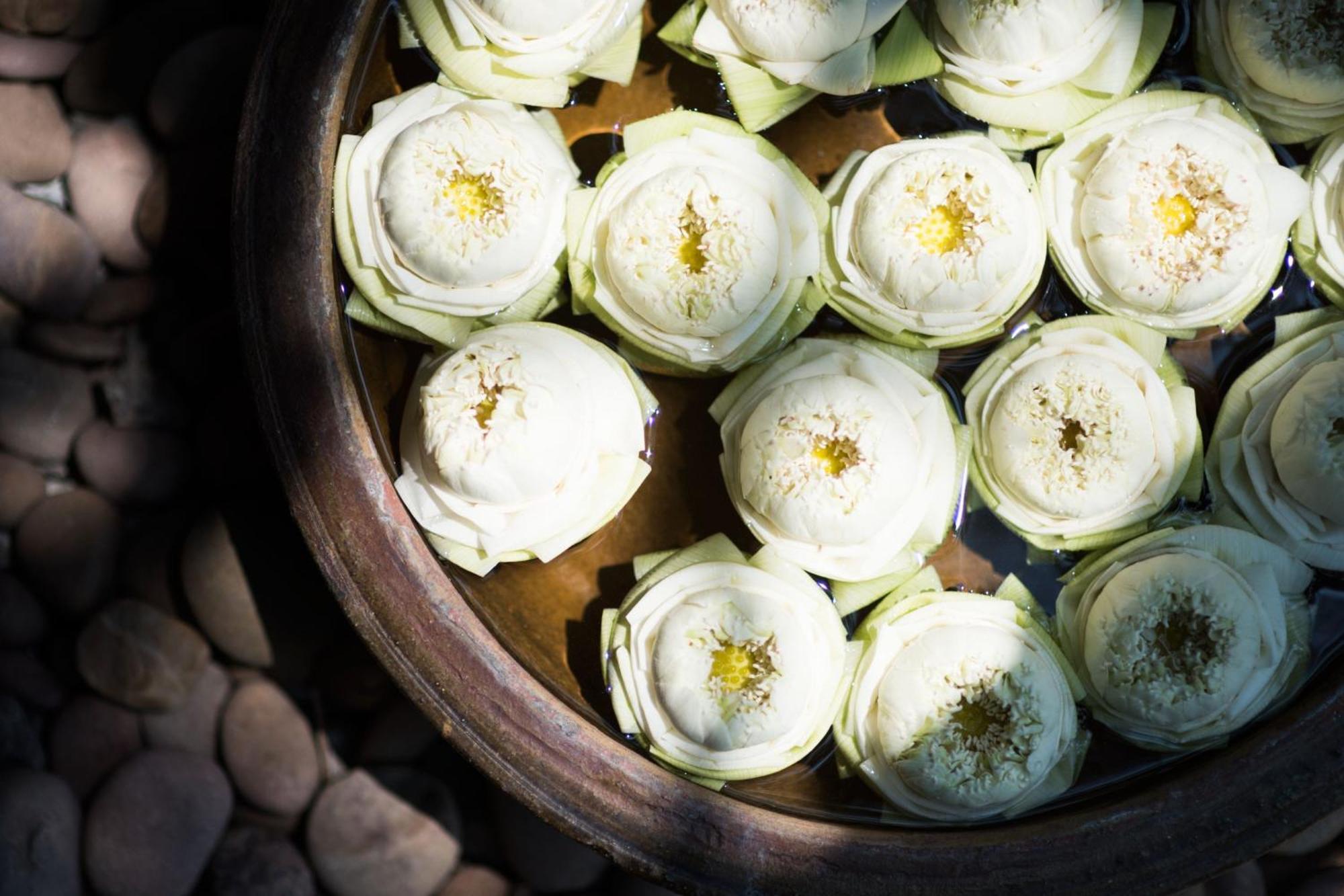 Sheraton Grande Sukhumvit, A Luxury Collection Hotel, Bangkok Exterior foto White lotus flowers